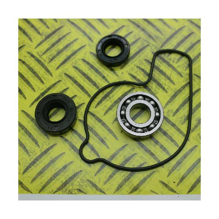 KIT JOINTS REPARATION POMPE A EAU HOT RODS YZF 250 01/13