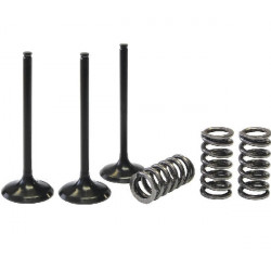 KIT CONVERSION SOUPAPE ADMISSION TITANE EN ACIER PROX CRF 250 04/07