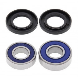 KIT ROULEMENTS ET JOINTS SPY DE ROUE ARRIERE ALL BALLS 250 YZF 14/16