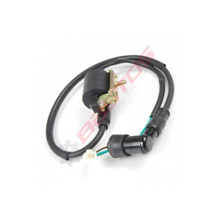 BOBINE D'ALLUMAGE HAUTE TENSION AVEC SUPPORT BASTOS