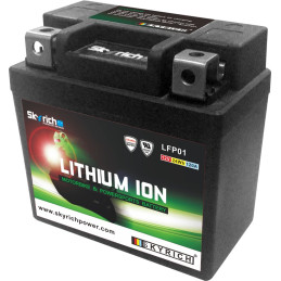 Batterie SKYRICH LTKTM04L...