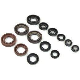 KIT JOINTS SPI BAS MOTEUR...