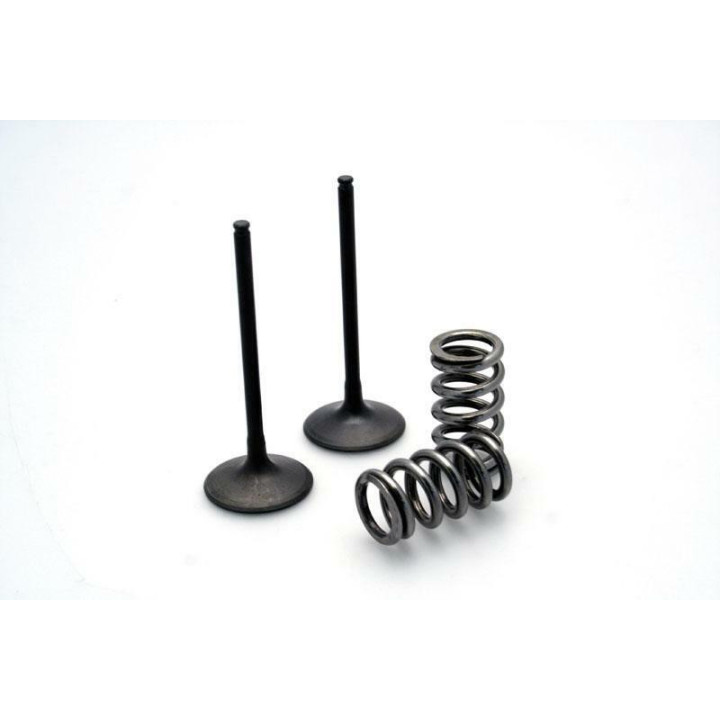KIT CONVERSION SOUPAPE ADMISSION TITANE EN ACIER PROX YZF 450 10/13