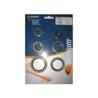 POCHETTE JOINTS SPY BAS MOTEUR TECNIUM SX 250 99/02