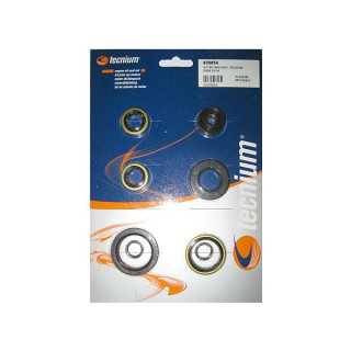 POCHETTE JOINTS SPY BAS MOTEUR TECNIUM SX 125 02/05