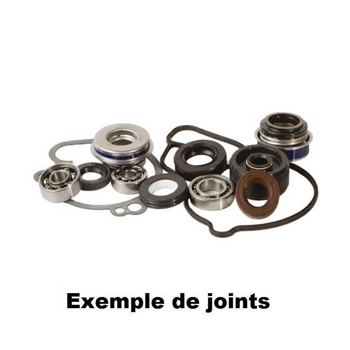 KIT JOINTS REPARATION POMPE A EAU HOT RODS YZF 250 01/13