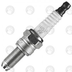 BOUGIE NGK CR8E YZF 250 01/13